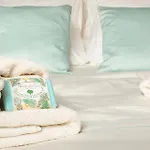 Entrenous Hotell 4*